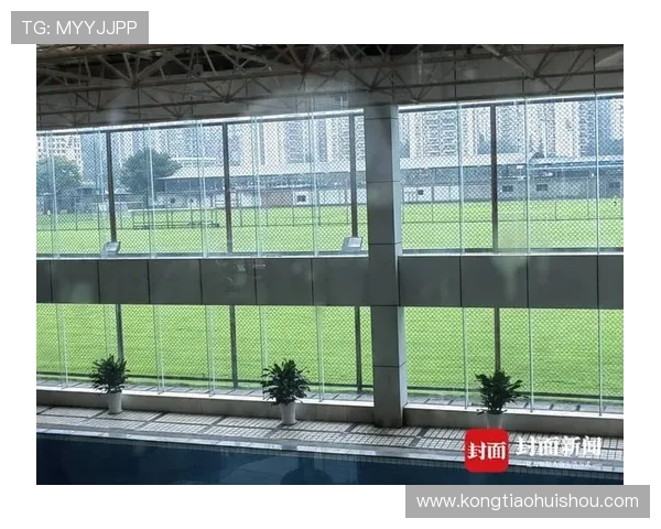 南京排球队意识探讨与发展策略分析助力球队提升竞技水平